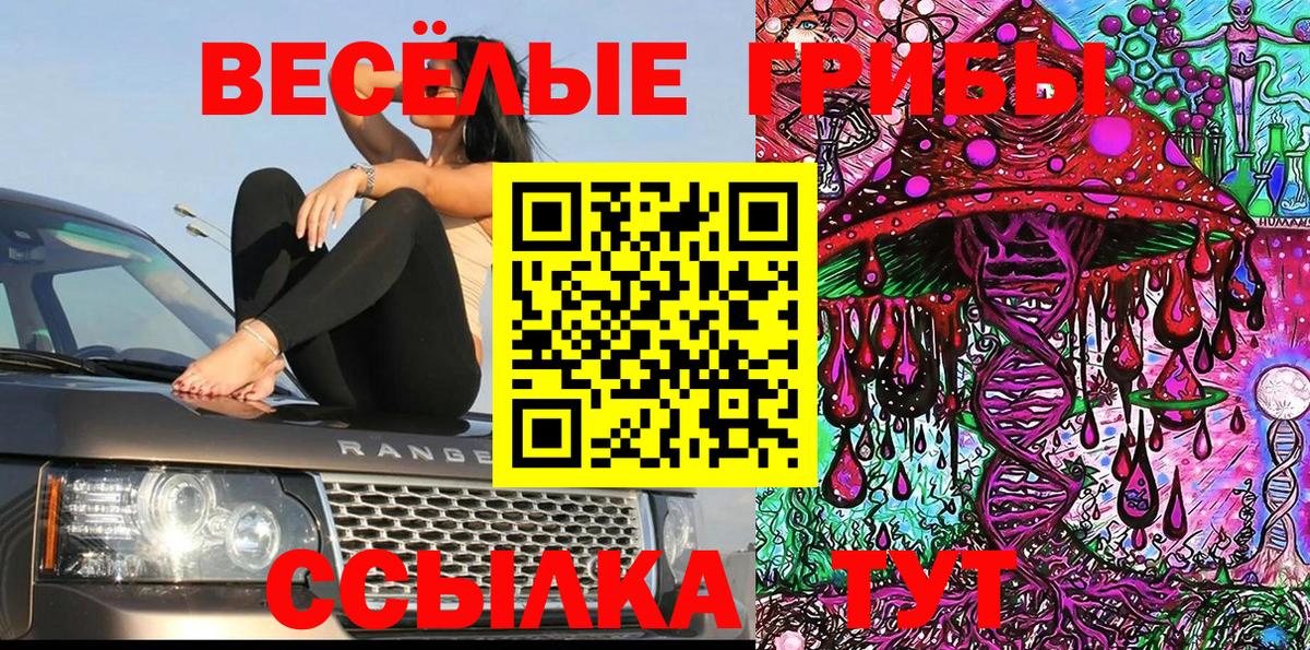 Татарск  Псилоцибиновые грибы Cubensis  Вход с VPN 