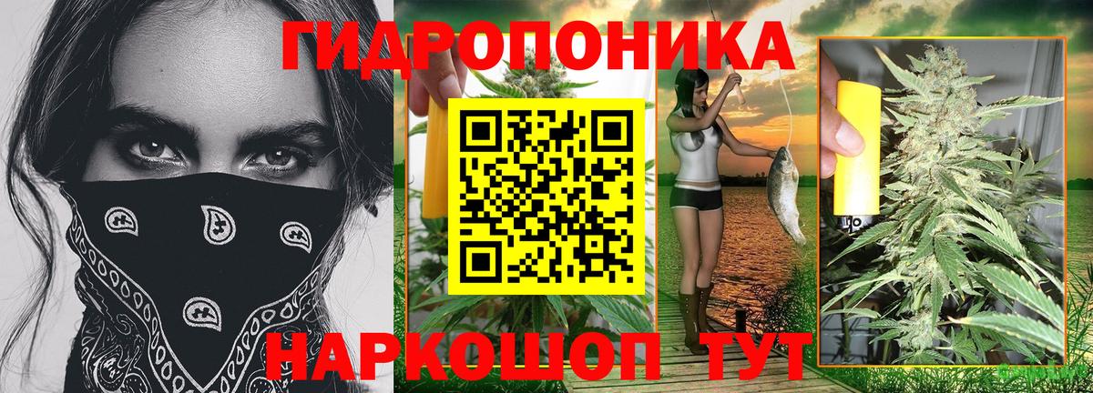 Бошки марихуана семена Татарск